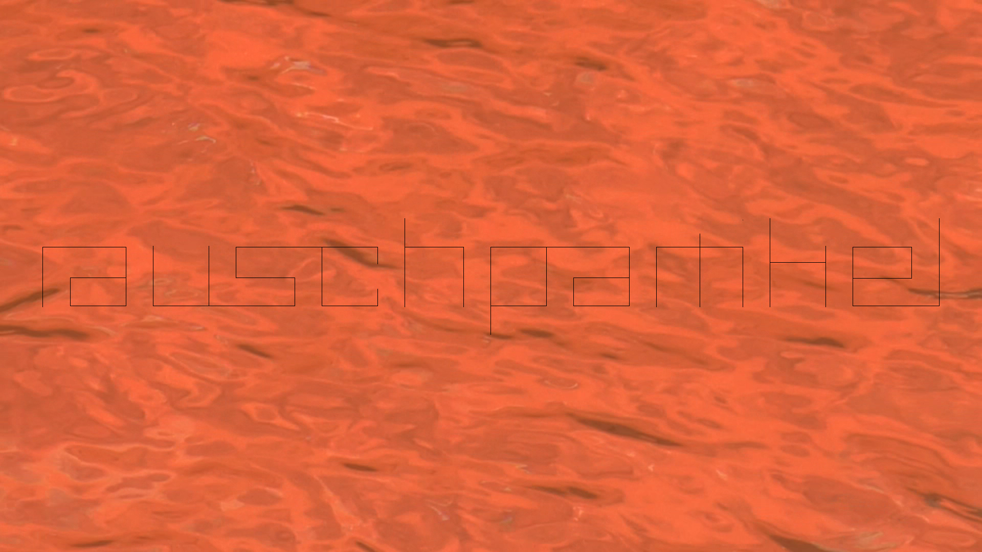 2022-11-09 10 Uhr 01 das Meer (Video, Foto)